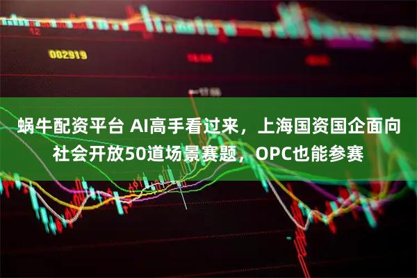 蜗牛配资平台 AI高手看过来，上海国资国企面向社会开放50道场景赛题，OPC也能参赛