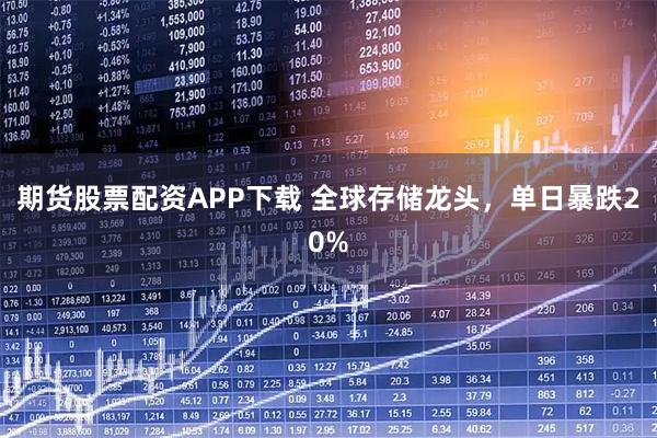 期货股票配资APP下载 全球存储龙头，单日暴跌20%