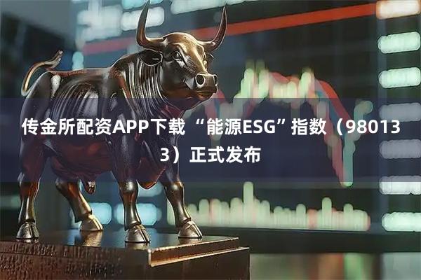 传金所配资APP下载 “能源ESG”指数(980133)正式发布