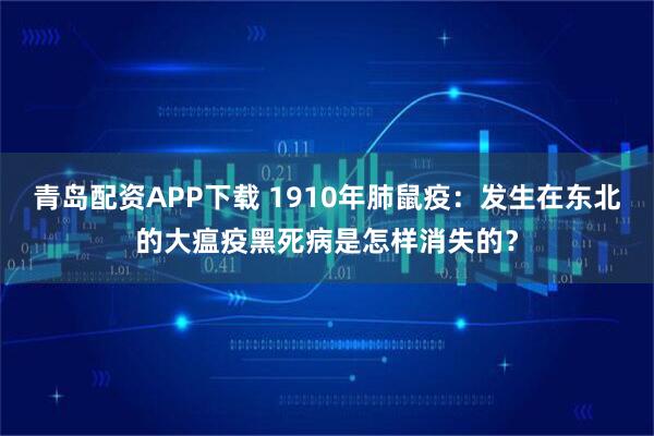 青岛配资APP下载 1910年肺鼠疫：发生在东北的大瘟疫黑死病是怎样消失的？