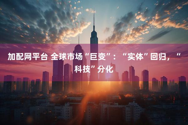 加配网平台 全球市场“巨变”：“实体”回归，“科技”分化